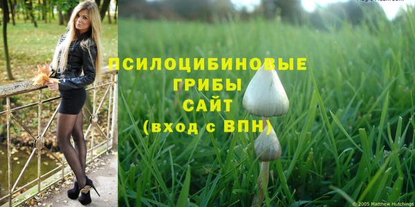дживик Зерноград