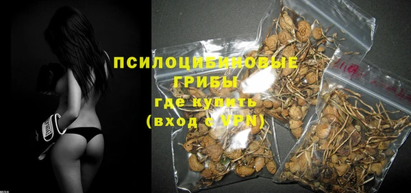 прущие крисы Зеленодольск