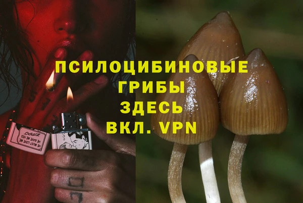 прущие крисы Зеленодольск