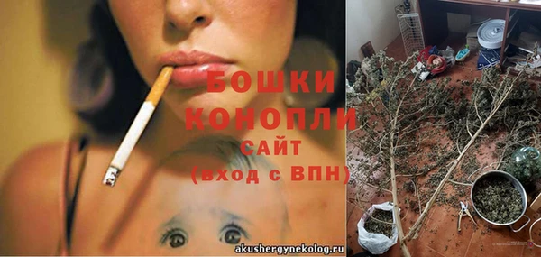 дживик Зерноград