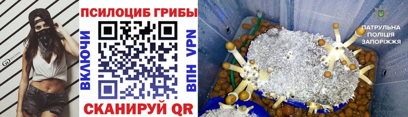 Купить закладки  Южноуральск  Галлюциногенные грибы мицелий 